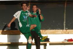 Kaltschnäuzigkeit namens Reichenau