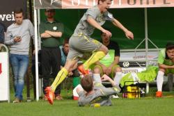 Herbe Klatsche am Telfer Emat