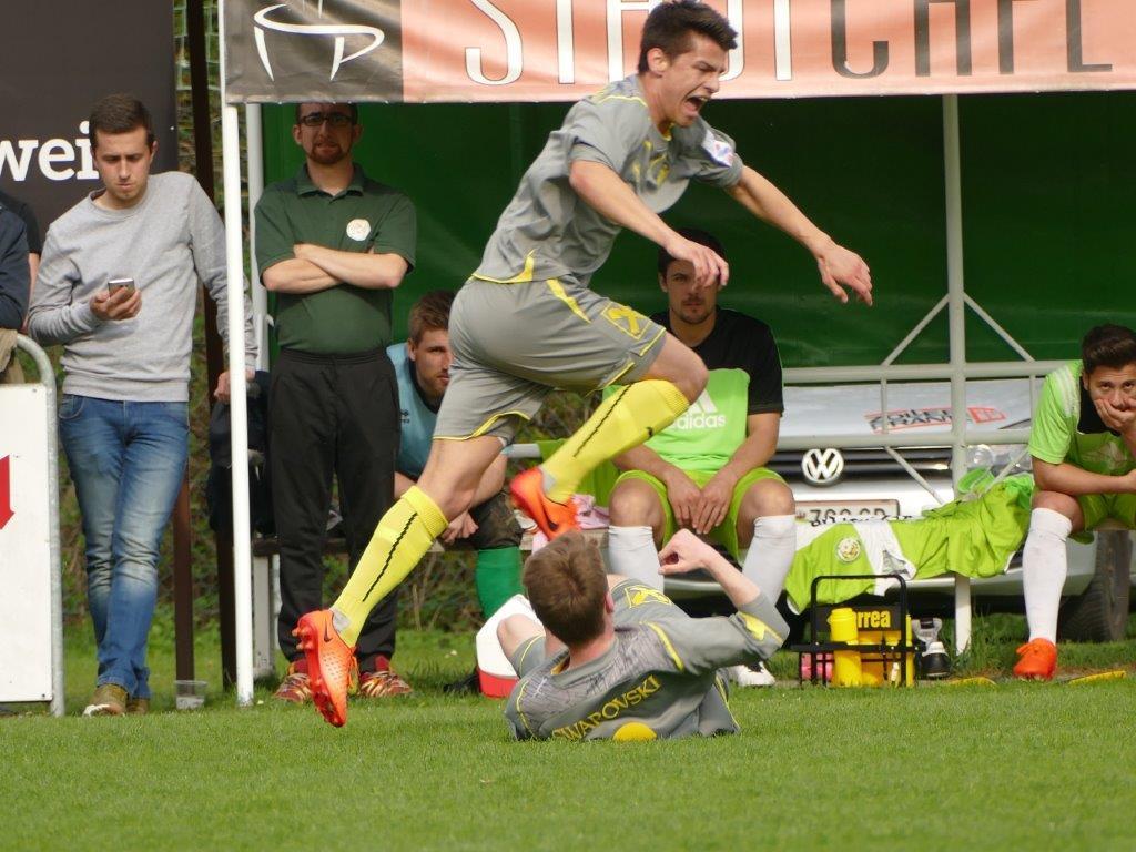 Herbe Klatsche am Telfer Emat