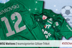 Teamsigniertes Trikot zu ersteigern