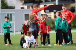 Exklusives Gratis-Camp in Grün-Weiss!