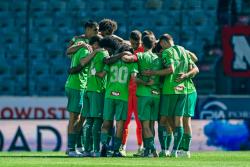 Fokus auf die Veilchen