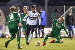 Test beim Winterkönig