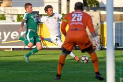 Derby in Grün-Weiß