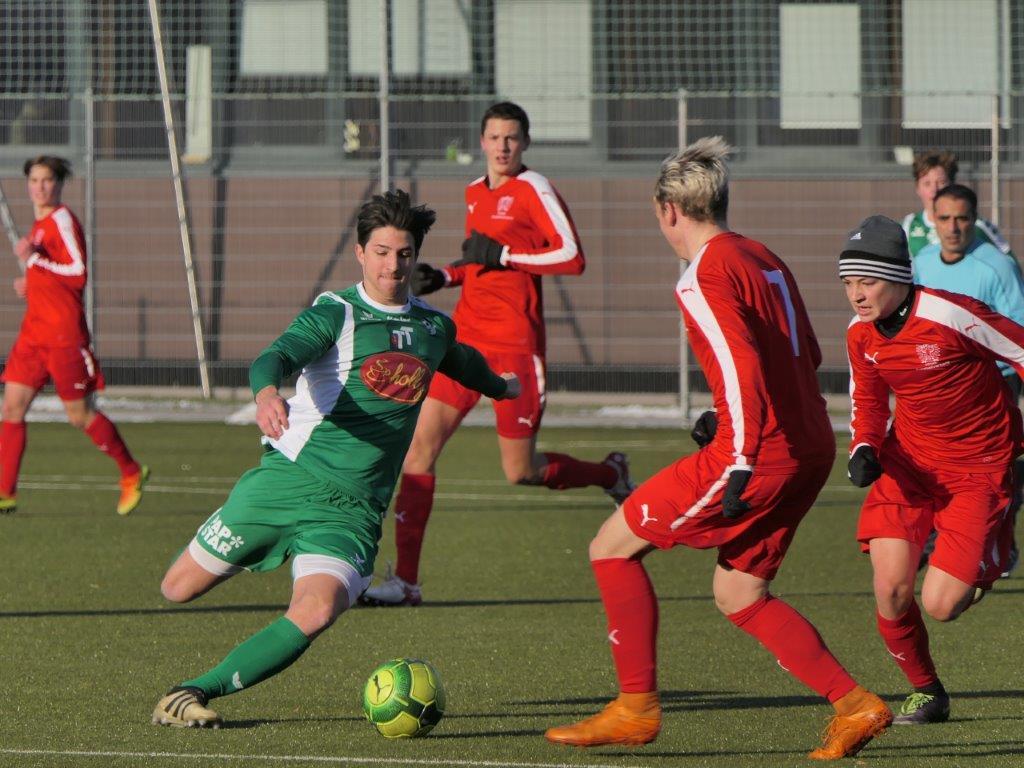 Grün-Weiße Spieltermine