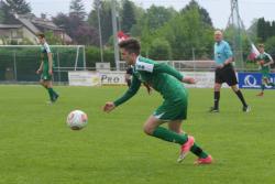 Grün-Weiße Spieltermine